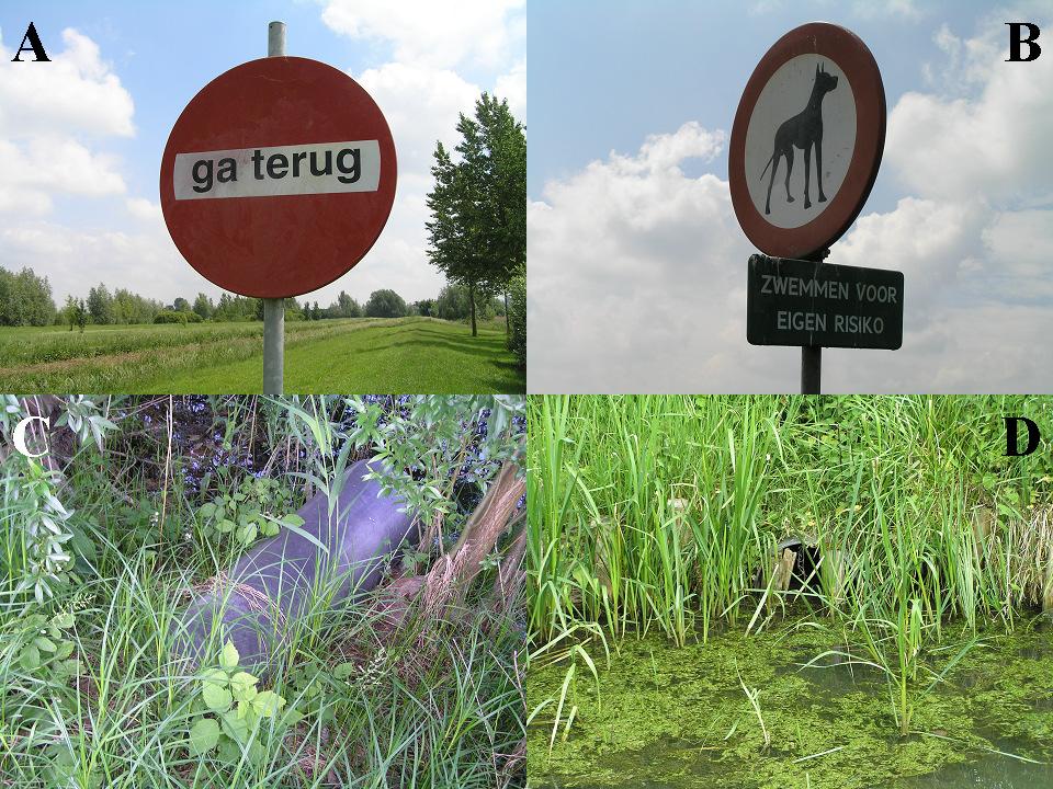 Het was niet mogelijk om rond de hele plas te lopen, een deel van de oostelijke en zuidelijke zijde van de plas was afgesloten. Dit was privéterrein of hoorde bij de duik- kanocentrum De Beldert.