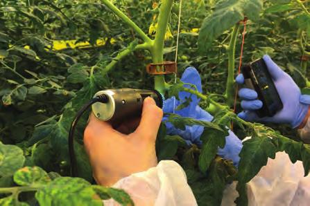 gebruikersverhalen MET DINO-LITE GRIP OP ONGEDIERTE IN DE GLASTUINBOUW Eric Vereijken is eigenaar en directeur van een geavanceerd tomatenteeltbedrijf van 47 hectare groot.
