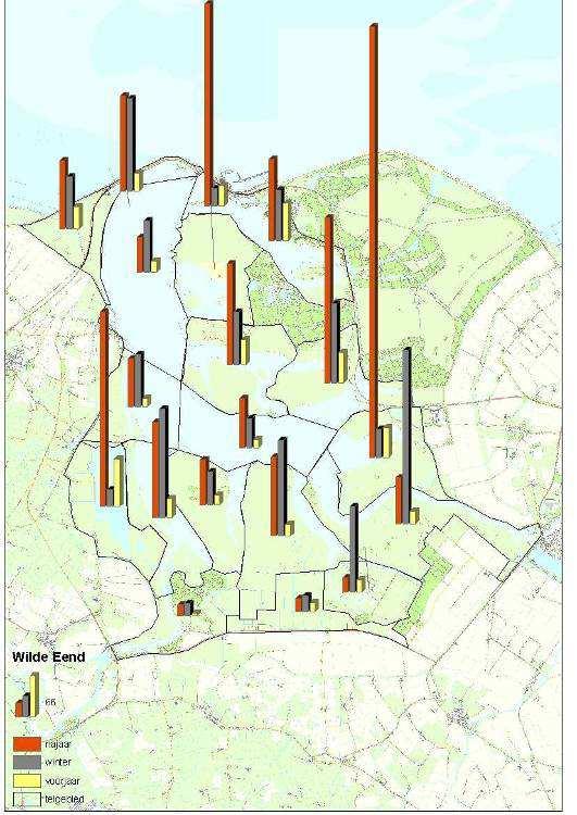 Pijlstaart Huidig voorkomen en trend Pijlstaarten zijn vooral in de ondiepe, afgesloten wateren in het oostelijke deel van het Lauwersmeer te vinden, waaronder het Jaap Deensgat.