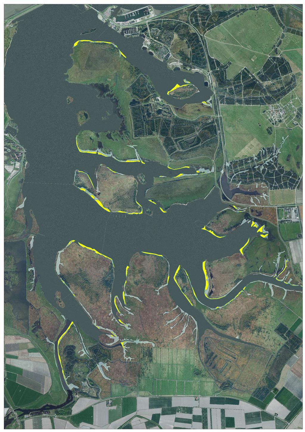 Natura 2000 Ontwerpbeheerplan Lauwersmeer Figuur 7: Achteruitgang van waterriet tussen 1980 en 1989, weergegeven op luchtfoto van 2008. Waterriet kwam alleen voor langs de plaatranden.