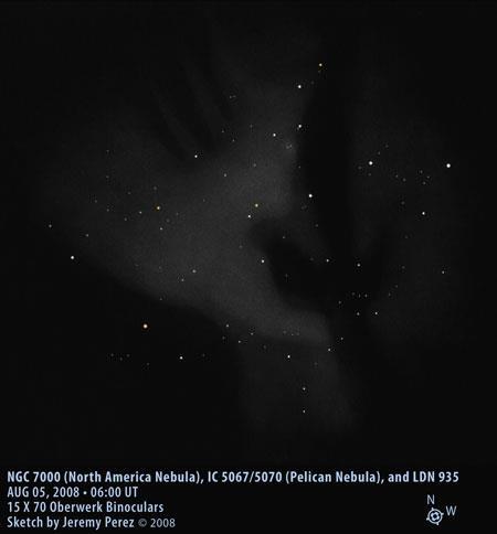NGC 7000 (Noord-Amerikanevel) En