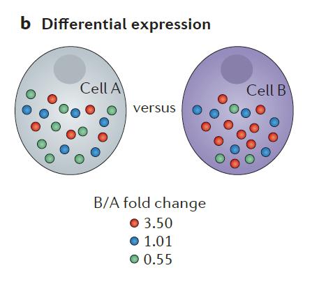 Kwantitatieve proteomics Op basis