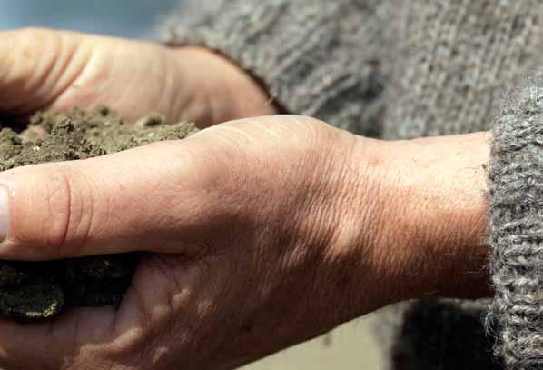 Agrifirm Plant De teler centraal Een soepele integratie van drie bedrijven en een goede start van het nieuwe bedrijf was de belangrijkste ambitie van Agrifirm Plant in 2011.