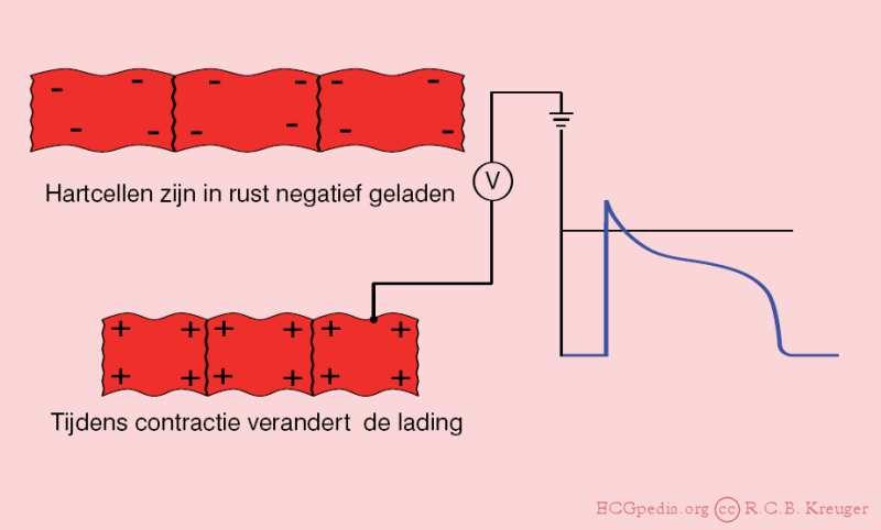 is een registratie