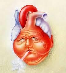 Cardiorenaal