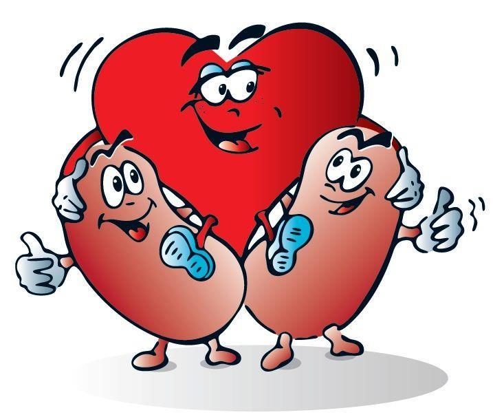 23 Cardio-nefro raadpleging: wat Consultatie bij cardioloog en nefroloog op 1 dag Anamnese, klinisch onderzoek, labo, urine onderzoek ECG,