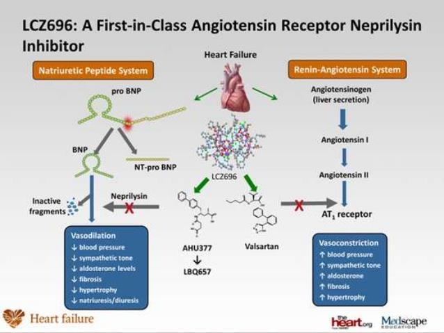 ARNI (angiotensin receptor neprilysin inhibitor) 53 valsartan werkt op RAAS sacubitril inhibeert neprilysin -> enzyme veraantwoordelijk voor degradatie van BNP, ANP, bradykinine en andere peptiden