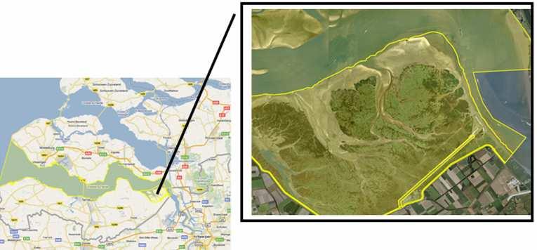 2 Gebiedsbeschrijving 2.1 Plangebied en omgeving Hedwigepolder De Hedwigepolder is gelegen in Zeeuws-Vlaanderen aan de monding van de Schelde op de grens met België.