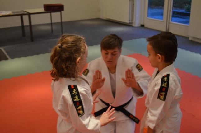 Verslag RW intro judo voor de Balans (20 dec) ---------------------------------------------- Rots en Water in de judoles 4-6 jaar Doorn en Leersum Op maandag 27 november heeft juf Nienke een les Rots