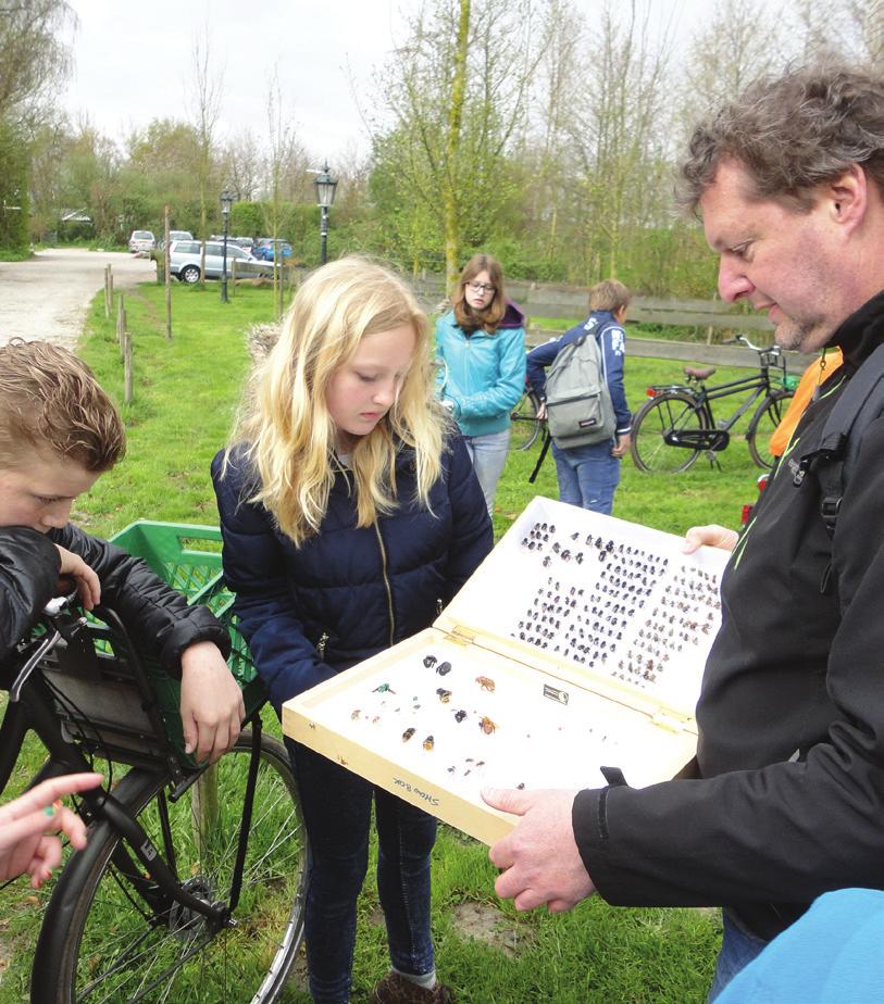 Met de gegevens die hij verzamelt, wil Koos een kaart van Nederland maken met daarop de bestuivingskracht.