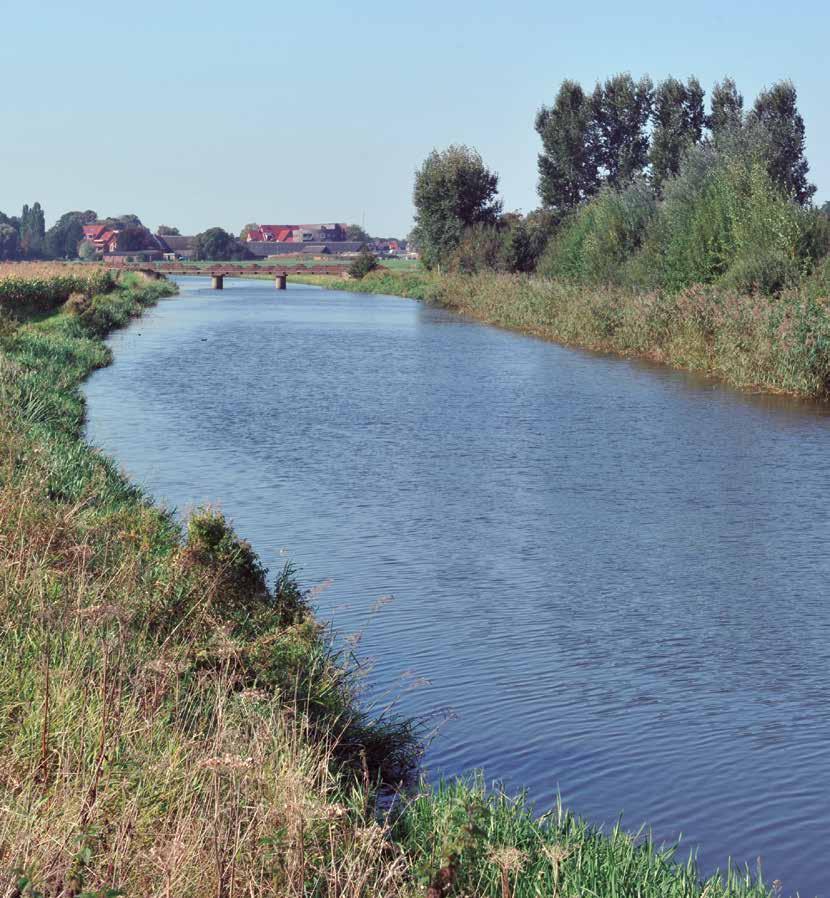 BETROKKEN IN DE BUURT Bestuur: