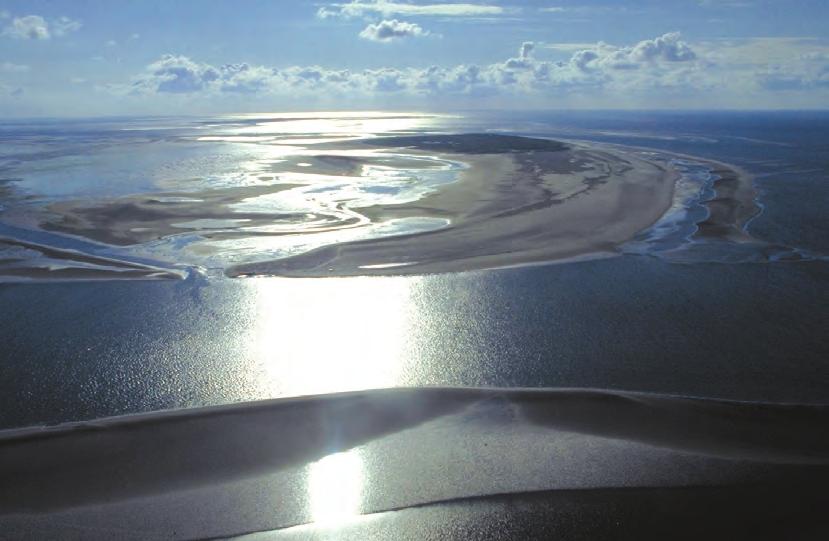 Waarom Waddenzee Werelderfgoed als merk? Een plek als merk ofwel 'place branding' verschaft mensen een duidelijk beeld van een locatie, een stad, een monument of een natuurlijk erfgoed.