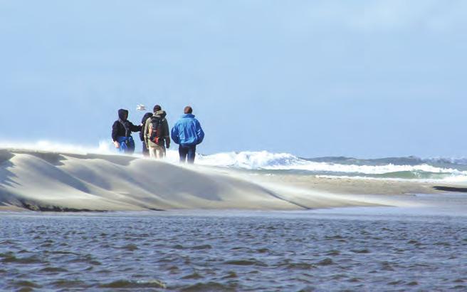 We zijn ervan overtuigd dat het Waddenzee Werelderfgoed als merk wordt versterkt als u meedoet aan de hand van de informatie in dit document.