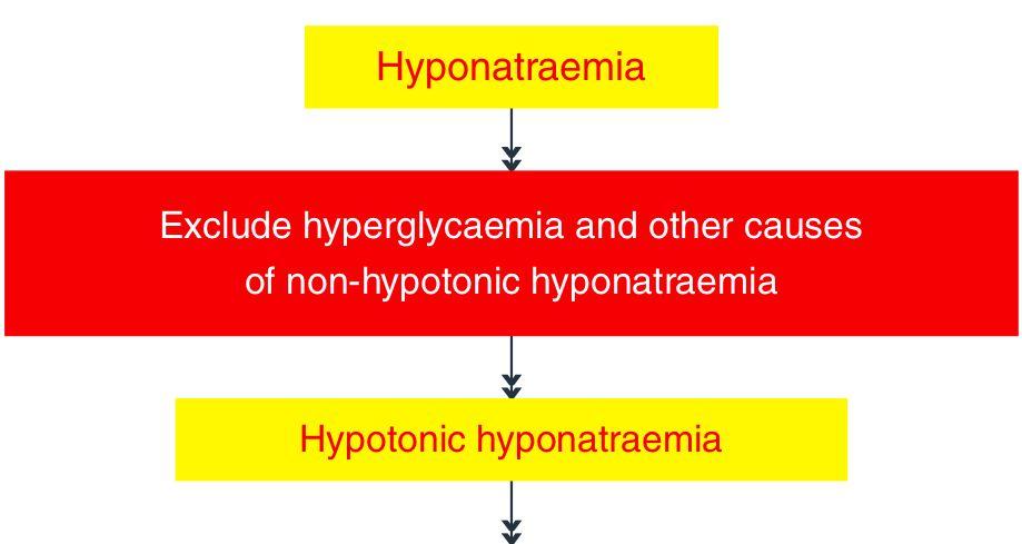Hyponatriëmie: praktisch STAP 1: hyponatriëmie = hypotoon?
