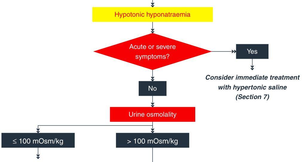 Hyponatriëmie: praktisch STAP 2: heb ik