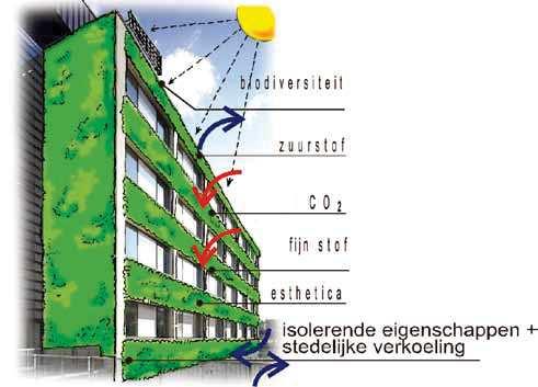 Uit onderzoek aan de Technische Universiteit Delft, faculteit Civiele techniek en geowetenschappen, is onder meer gebleken dat een groene buitenhuid de warmteaccumulatie drastisch vermindert ten op