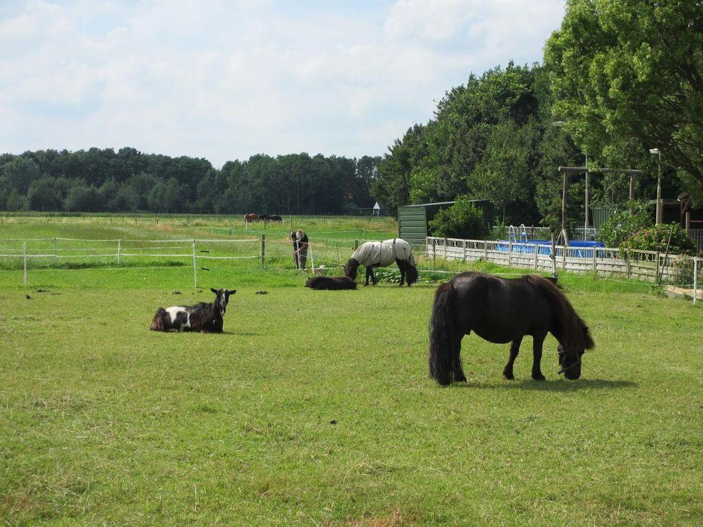 bouwvorm: bestaande bouw