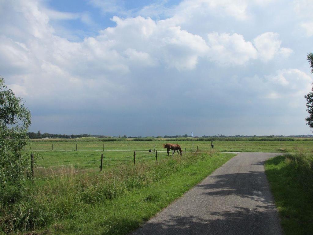 weg, buiten bebouwde kom inhoud: