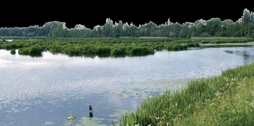 .. Uitkijken naar de toekomst Straks helpen overstromingsgebieden de veiligheid van het Zeescheldebekken met rasse schreden vooruit.