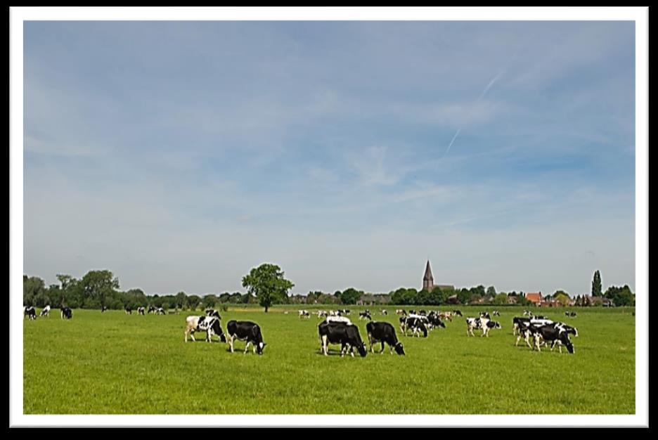 SENIORENVERENIGING KBO St. LAMBERTUS Oog voor Senioren Informatieboekje 2018 Jaargang nr.