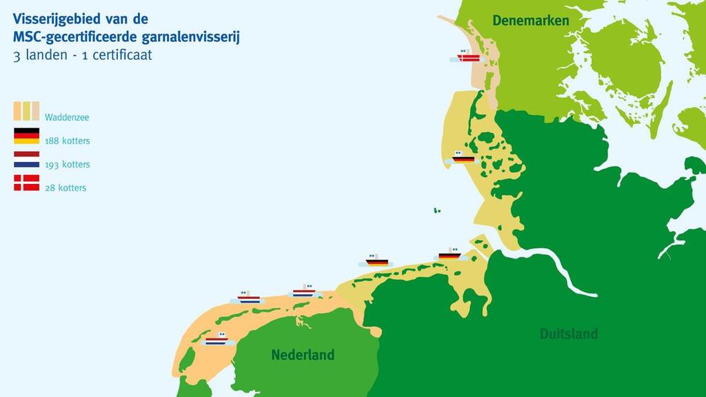 garnalen in Nederland hun weg nu nog voornamelijk vinden naar het topsegment van de horeca.