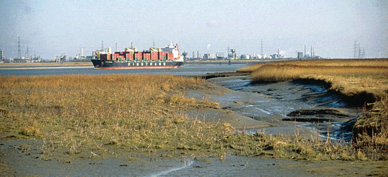 MEI 2005 EENMALIGE UITGAVE Toegankelijkheid, veiligheid en natuurlijkheid onder de loep 30 vragen én antwoorden rondom de verdieping Op het eerste gezicht bevat de Ontwikkelingsschets 2010