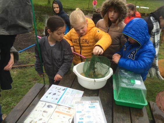 Na een diapresentatie mochten de kinderen zelf met een schepnet kikkers gaan vangen. Ondanks de regen vonden de kikkers het te koud om zich te laten zien.