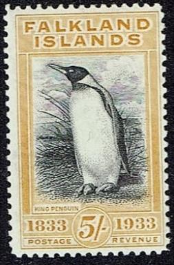 Aangenomen wordt dat Sebald de Weert, een Antwerpse zeeman in dienst van de Verenigde Oost-Indische Compagnie, rond 1600 de eerste betrouwbare waarneming van de Falkland Islands deed.