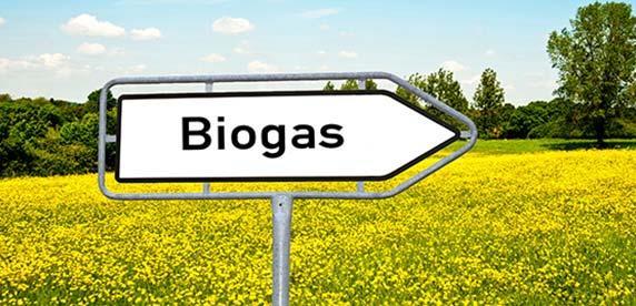 Content Biogas: wat is het Inzet van biogas Mogelijkheden en