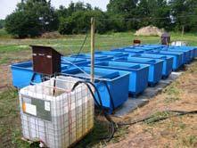 Research op m 3 scale 4 x 4 mesocosms: - 2 x 4: