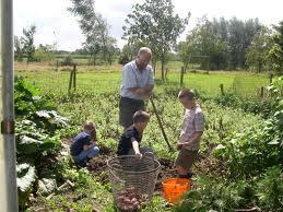 Agroforestry als opportuniteit?