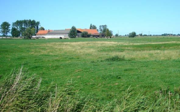 Langs de zogenaamde Frontzate ligt op 800 meter noord van de Schoorbakkestraat het landschapsmonument van Lucas Coeman, een sobere herdenking aan de lokale oorlogsgebeurtenissen.