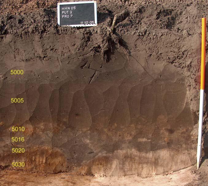 12 VERKENNEND EN WAARDEREND ARCHEOLOGISCH ONDERZOEK, HEESWIJK HEILAREN NOORD Figuur 6 Foto van het bodemprofiel in het noorden van proefsleuf 2.