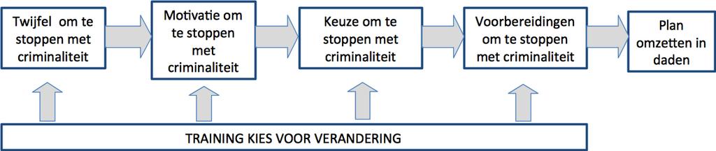 De resultaten Resultaten van de evaluatie van de theoretische onderbouwing (Hoofdstuk 3 t/m 9) Het gehele veranderproces bestaat uit meerdere stappen (Figuur 1).