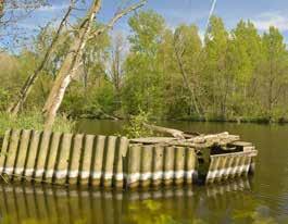 Het alluviaal bos van Life+ Scalluvia is van het type elzenbroekbos. De hele winter is er een hoge waterstand. Tijdens de zomer droogt de grond slechts oppervlakkig uit.