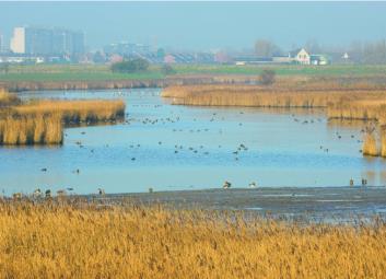 afgevoerd? 2. Droogte: hoe kan extra water gestockeerd worden voor tijdens de droge periodes? 3.