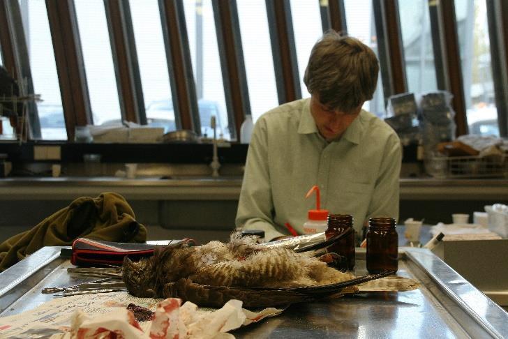 samples worden samen met het sectieformulier bewaard voor eventueel vervolgonderzoek naar roofvogelvergiftiging in de toekomst.