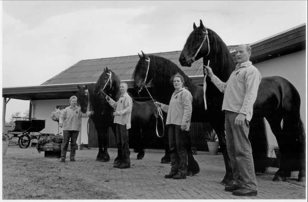 Bosma te Kollumerzwaag. Hengstenhouderij Fam.