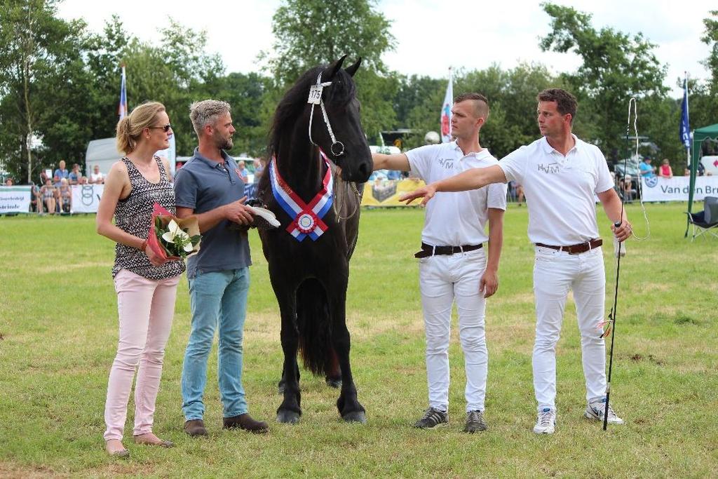 Kampioenschap 3 jarige Veulenboekmerries (AKW Douma Prijs) Aanvang: 14:20 Baan: Hoofdring Jury: H. Draaijer, J. Hellinx, L.