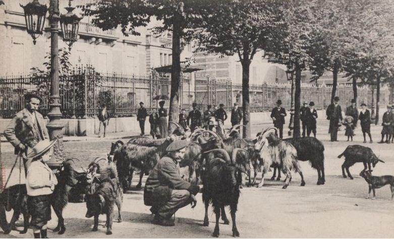 Het nieuwe provinciehuis kwam er in 1950.