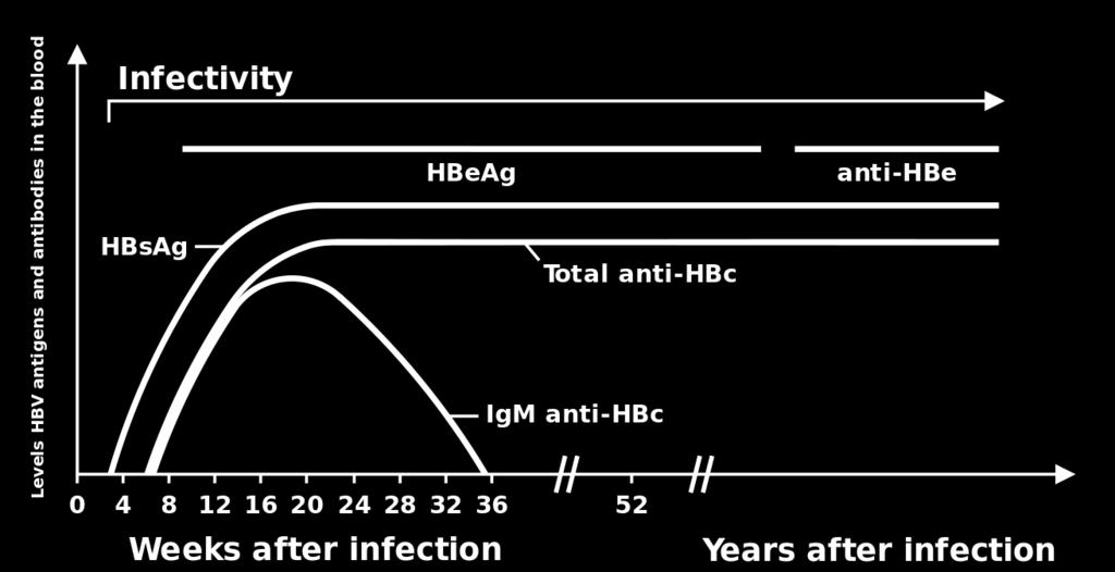 HBeAg-negatieve chronische infectie (voorheen: inactief drager) 4. HBeAg-negatieve chronische hepatitis B 5.
