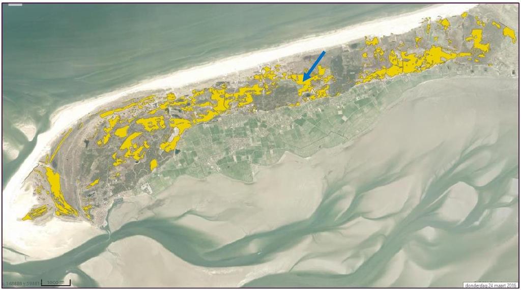 3.3.2 Terschelling Het zand ten behoeve van de zandaanvulling op Terschelling is afkomstig van het eiland zelf. In de PAS-gebiedsanalyse voor Terschelling d.d. 20 mei 2015 zijn per stikstofgevoelig habitattype herstelmaatregelen opgenomen.