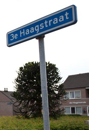 3 e Haagstraat in het najaar op de schop De 3e Haagstraat, een van de langste straten van Helmond West, wordt in het komende najaar flink aangepakt.