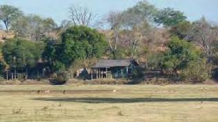 Tijdens uw verblijf kunt u vrij deelnemen aan dag en avond game drives in open 4WD en wandelsafari s in de Mfuwe sectie.