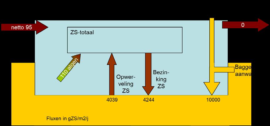 Figuur 33 ZS-fluxen in g ZS/ m 2 /jaar in de,petgat 8-mêd-IJverlân.