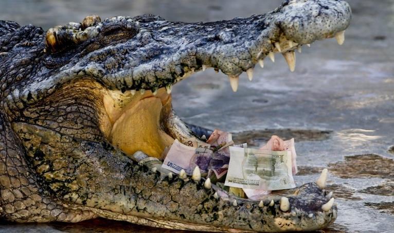 22 april 14u-17u: geldbeheerdster jacala Iedereen weet dat krokodillen de meest vertrouwbare dieren zijn ter wereld, door deze bepalende factor zijn ze dan ook de beste bankieren.