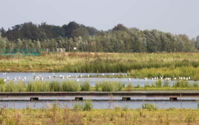 R3 A28 zuid / Schammer R2 R3 OMSTANDIGHEDEN Bestaande grondwal langs de A28 zuid AANVULLENDE VORMGEVINGSEISEN R3.