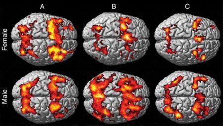 Imaging Resting state