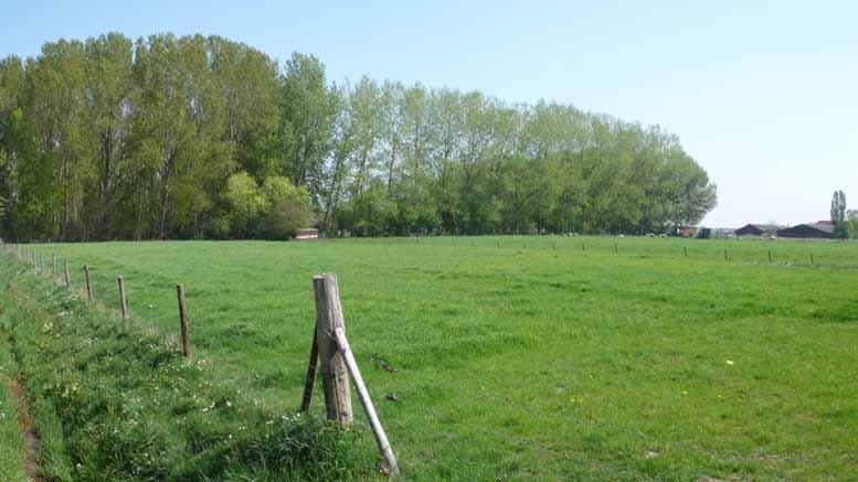 algemeen INLEIDING Belangrijk bij de ontwikkeling van Den Bogerd is dat de woningen de kenmerken en de uitstraling van Udenhout uitdragen en tevens een eigentijds karakter hebben.