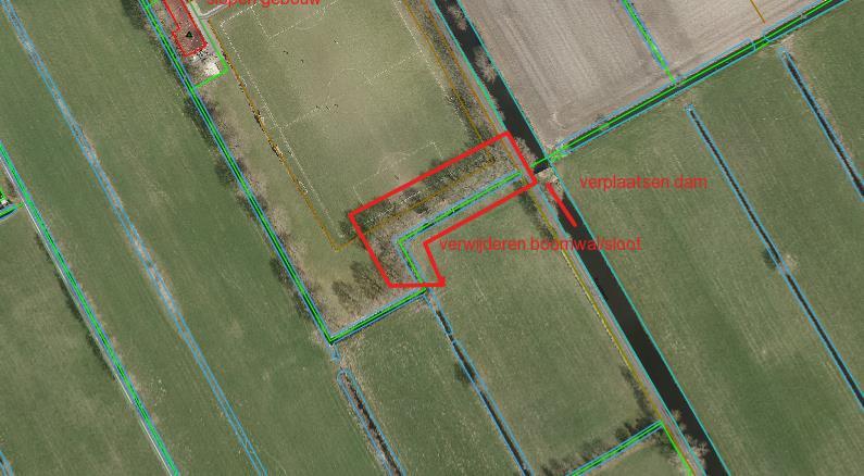 4. INVENTARISATIE BOMEN Tijdens het veldbezoek is een inventarisatie gedaan van de aanwezige bomen en struiken in het deel van de houtwal dat gekapt wordt (figuur 16).